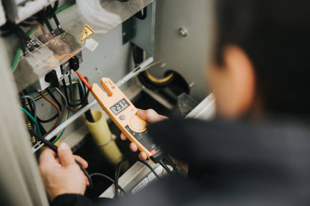 Best Electric Panel Repair  in Mazon, IL